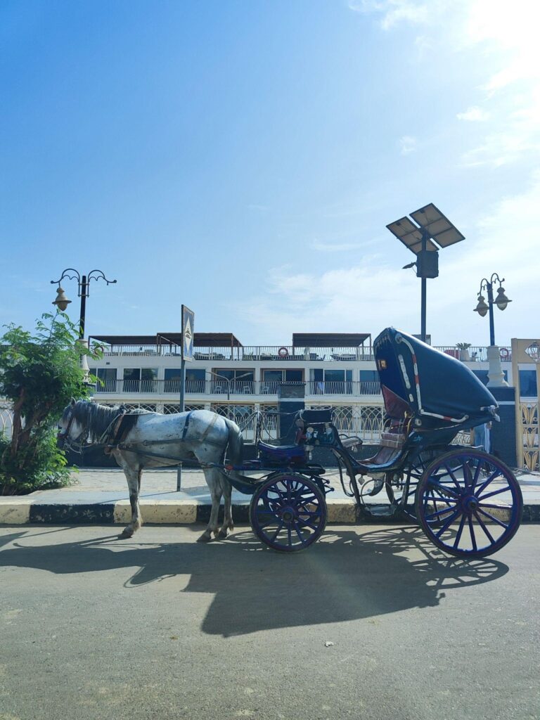 Una de las calesas en las que no me quise montar en Edfu, Egipto